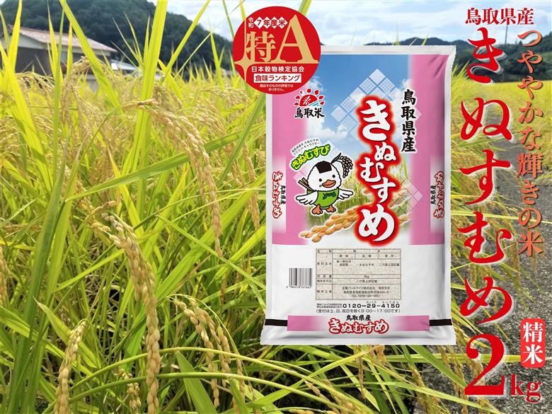 385K.鳥取県産きぬむすめ◇精米2kg◇令和7年産