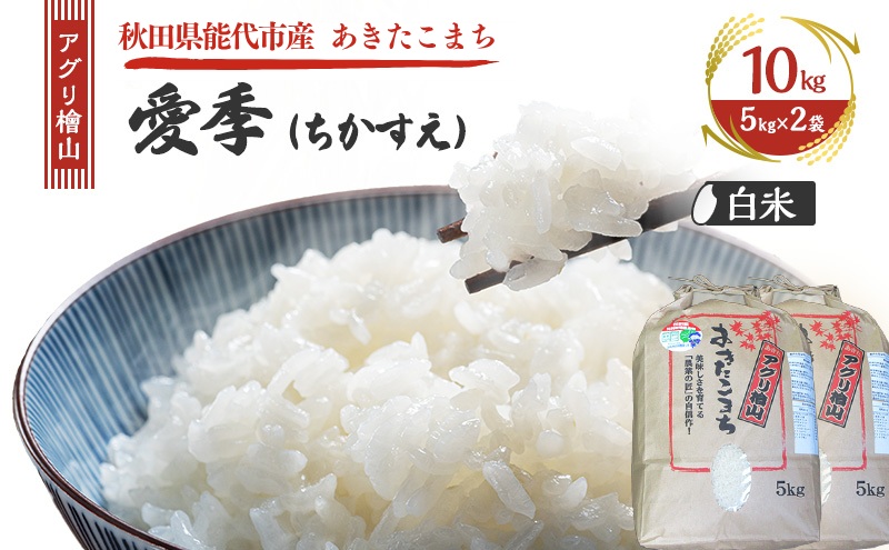 令和7年産 アグリ檜山米 愛季(ちかすえ) 白米 10kg ( 5kg × 2袋 )( 特別栽培米 あきたこまち ) 精米 お米 おこめ こめ コメ ごはん ご飯 大粒 令和7年  秋田 秋田県 能代市
