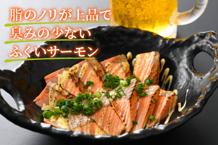 国産 ふくいサーモン 200g × 2パック 合計400g  刺身 サケ 鮭[A-001055]