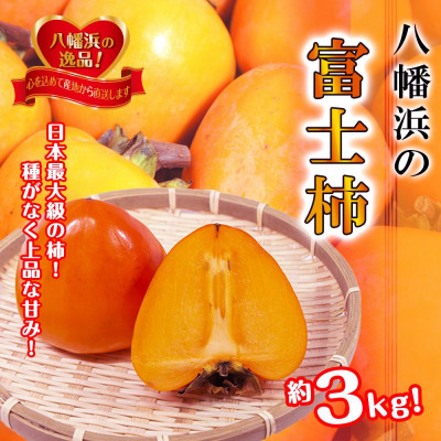 甘さにニッコリ!日本最大級の柿「富士柿」約3キロ【C39−72】【配送不可地域：離島】【1620371】