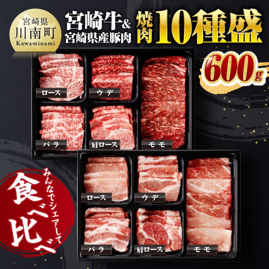 宮崎牛 ＆ 宮崎県産 豚肉 焼肉 10種　牛肉 豚肉 焼肉[D00601]