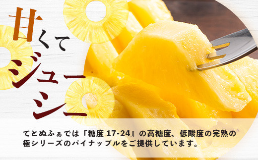 【予約受付】《2026年5月下旬～7月中旬発送》最高糖度18度！？ 完熟の極 石垣島産ジュワリーパイン 【 沖縄県 石垣市 石垣島 完熟 パイン パイナップル ジュワリー 予約受付 】TF-16-1_