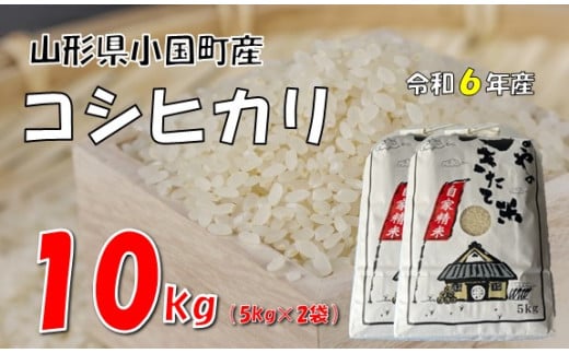 【令和6年産】コシヒカリ10kg（5kg×2袋）　