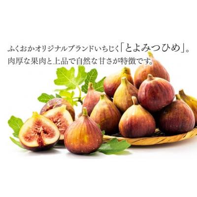 ふるさと納税 新宮町 あまおう約1,080gといちじく約1kgのセット【あまおう】【とよみつひめ】.BB038 |  | 02