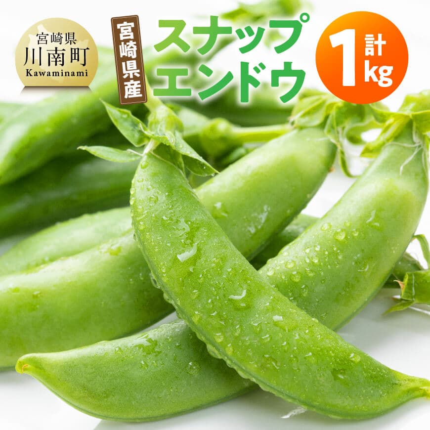 鍋倉さんちのスナップエンドウ1kg　宮崎県産 川南町産 スナップエンドウ　[B12702]