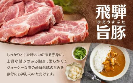 飛騨牛A5等級カレー（2食）＆ 飛騨旨豚カリー（バラ1食・もも1食）食べ比べセット | 牛カレー 豚カレー 飛騨牛 A5 飛騨旨豚 カレー ビーフ ポーク 豚 牛 ご当地カレー 飛騨高山 (有)オリジ