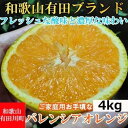 【ふるさと納税】【有田川町】バレンシアオレンジ 4kg バレンシア バレンシャ 和歌山 ブランド 有田みかん ご家庭用