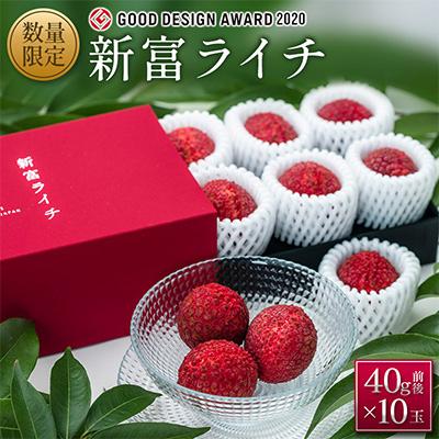 ふるさと納税 新富町 【マツコの知らない世界で紹介!】先行受付 希少!宮崎県産完熟ライチ「新富ライチ」40g前後×10玉