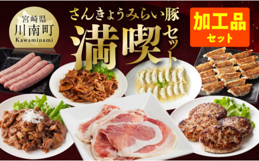 【かんたん調理で満喫コース】令和7年4月発送分　さんきょうみらい豚満喫セット（加工品） 【 満喫 セット 精肉 豚肉 宮崎県産 川南町産 ウデ モモ 鉄板焼き みそ漬け 味噌漬け 生ハム ハンバーグ 】