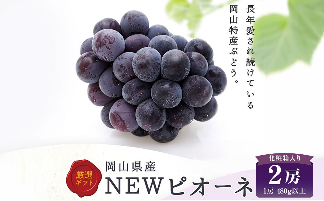 
                  ニューピオーネ 2房 （ 1房 480g以上 ） 化粧箱入り ぶどう ブドウ 葡萄 フルーツ 果物 くだもの ギフト 贈答 プレゼント 国産 【 2026年8月下旬～10月上旬迄順次発送予定 】
                