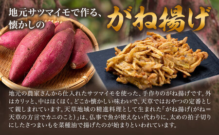 芋天 がね揚げ ガネアゲ 8個 芋天