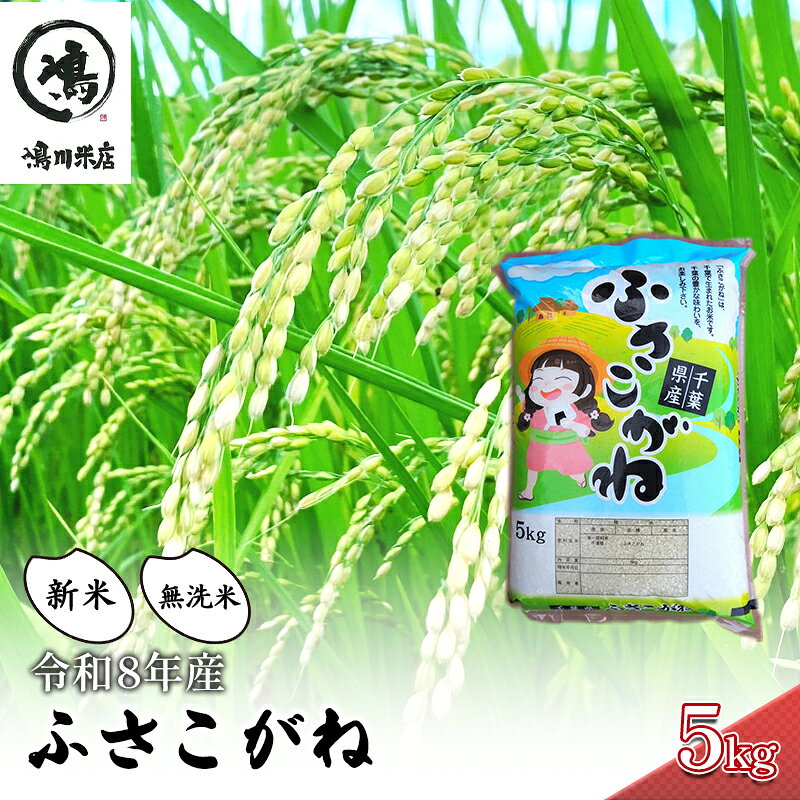 【ふるさと納税】【令和8年産】ふさこがね 無洗米5kgお米千葉県　お届け：2026年8月10日から