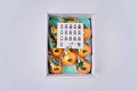 先行予約 果実の宝箱 葉付きデコ柑 不知火 約2.5kg 田辺農園