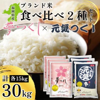 ふるさと納税 春日市 令和7年産 福岡県産米 (夢つくし・元気つくし) 合計30kg 各5kg×3袋(春日市)