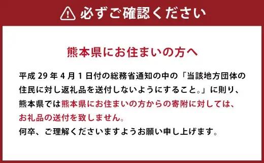 【 葡萄 】 肥後象嵌文様黒鉄砂角皿 （ 葡萄 ） ／ 中 ＋ 中 お皿 皿 食器 芸術 高級感 モダン 食卓 大皿 中皿 角皿 プレート 伝統文様