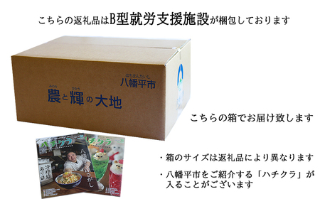 八幡平GEOCOLOR ペンケース（暖色系）【どれが届くかお楽しみ】 ／ 地熱染め 筆記具 大人 贈り物 小物入れ