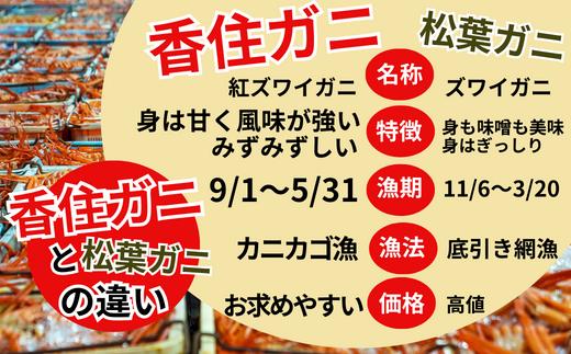 【本場香住漁港であがった！香住ガニセット8匹入り 三七十特製カニ味噌2本付 】ご入金確認後、9月中旬以降順次発送予定 カニの本場 香住産 厳選 茹で香住ガニ姿8杯入り！日帰り漁の香住ガニは鮮度抜群！水