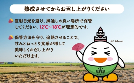 【オンライン決済限定】野菜 新しのつ産 さつまいも（シルクスイート2.5kg） サツマイモ 芋 イモ 甘い 北海道
