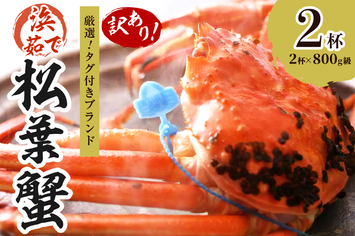【訳あり！！タグ付きブランド】　茹で松葉かに　鮮度抜群、浜茹でにてお届け！！ 800g級（足1本落ち）×2杯 YK00434