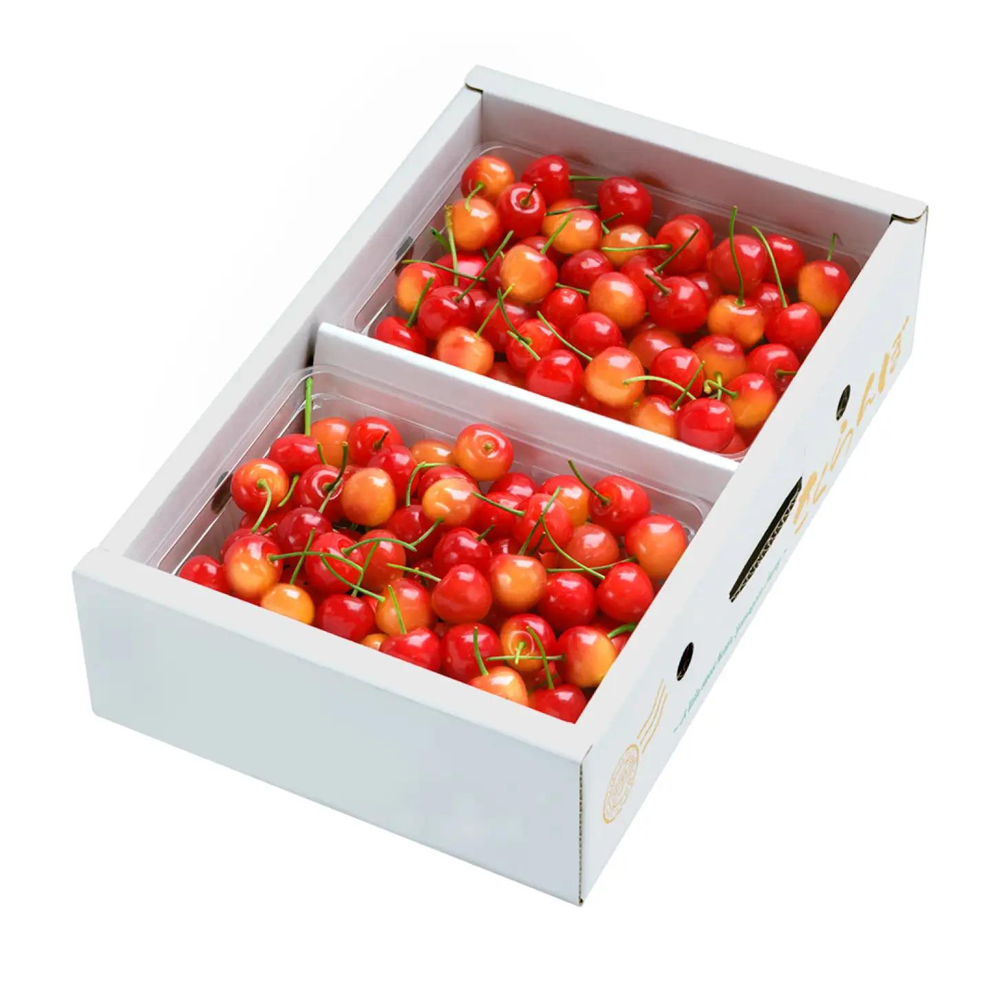 先行予約 さくらんぼ 佐藤錦 秀Lサイズ 1kg(500g×2パック) バラ詰め 令和8年産 ns-snslb1