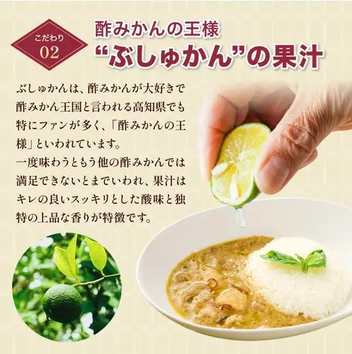 土佐はちきん地鶏 グリーンカレー 12箱 180g チキンカレー おすすめ curry かれー かれーらいす 惣菜 おかず 夕食 詰め合わせ セット レトルトカレー レトルト食品 ご当地グルメ 国産 