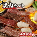 【ふるさと納税】【大畠精肉店】 焼肉セット（計4種×850g） オンライン 申請 ふるさと納税 北海道 新十津川 焼肉セット 焼き肉セット カルビ サガリ タン ホルモン 焼き肉 BBQ バーベキュー 冷凍 お取り寄せ 取り寄せ 新十津川【13009】