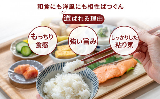 【先行予約】【定期便 3ヶ月】令和8年産 筑波山麓ホタルの里厳選米コシヒカリ5kg 透き通った大粒米 ※2026年11月～発送