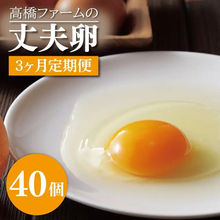 平飼いたまご 定期便 40個 年3回 高橋ファームの丈夫卵 もみじ AQ014