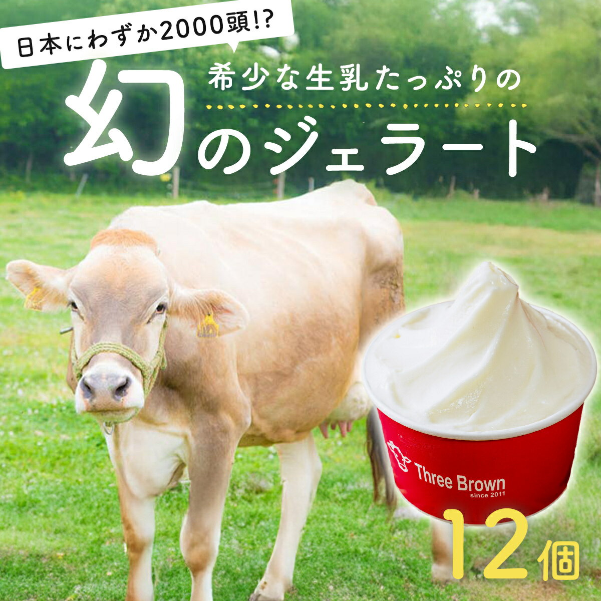 【ふるさと納税】ジェラート アイス 幻の牛の生乳から作る 無添加ジェラート 12個 ｜ジェラート アイス 無添加 ミルク いちご ブルーベリー 旬 生乳 高級 美味しい 人気 リッチ 極上 乳製品 新鮮 定番 なめらか 自然 冷たい ミルク デザート おやつ 贈り物 贈答 食後 口直し