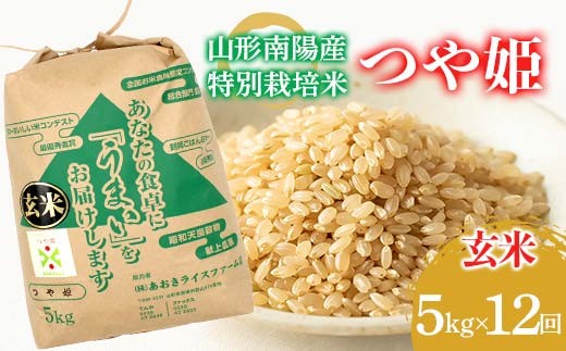 
                  【金賞受賞農家】 《定期便12回》 令和7年産 特別栽培米 つや姫 (玄米) 5kg×12か月 『あおきライスファーム』 山形南陽産 米 玄米 ご飯 農家直送 山形県 南陽市 [2630]
                