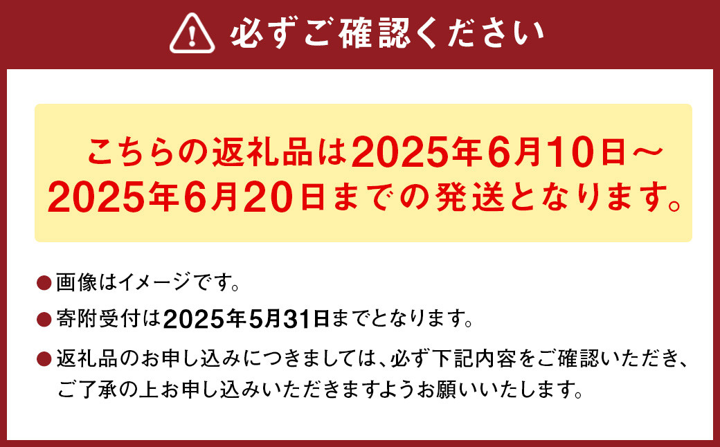 熊本県産肥後グリーンメロン 2玉