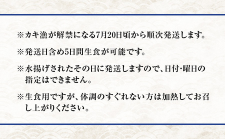 【先行予約】上越産天然岩ガキ　中サイズ（約220～250g）10～11個 海産物　2025年7月中旬以降順次発送