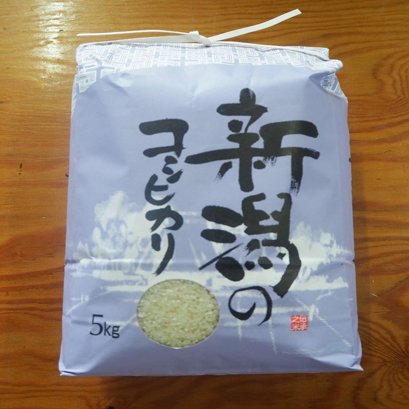 【ふるさと納税】コシヒカリ5kg　お届け：2025年9月下旬～2025年12月下旬まで