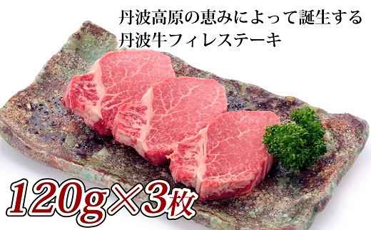 【2026年1月中旬以降発送】 丹波牛フィレステーキ 360g（120g×3枚） 【 国産牛 和牛 牛肉 丹波牛  牛ステーキ 赤身 赤身肉 京都  いづつ屋 ステーキ  】　[040IZ001]