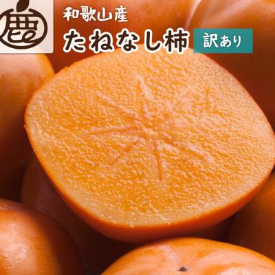 ふるさと納税 美浜町 家庭用 たねなし柿10kg【訳あり】【刀根早生・平核無柿(ひらたねなしかき)】