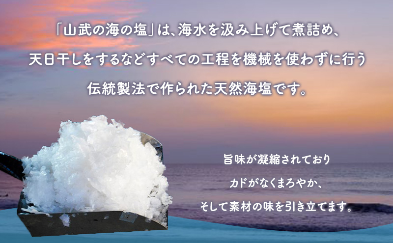 海岸通りの塩ブッセ8個入 1箱 お菓子 焼菓子 スイーツ ブッセ 塩バター おやつ お取り寄せ お土産 手土産 お土産部門優秀賞受賞 稲毛海岸 千葉市 千葉県