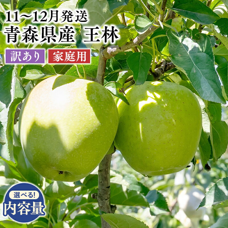 【ふるさと納税】≪内容量が選べる≫ 2026年11月〜12月発送 青森県産 訳あり 家庭用 王林 2kg 3kg 5kg 【 青森県 平川市 原田農園 】 青森 青森県産 平川 りんご リンゴ 林檎 くだもの 果物 フルーツ