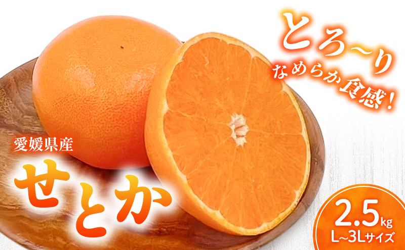 
            せとか L～3Lサイズ　2.5kg　みきゃん箱入＜みかん 柑橘 フルーツ 果物 愛媛県 国産 甘い 人気 先行予約 数量限定 旬にお届け 瀬戸香＞ [№5310-0261]
          