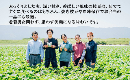 枝豆 【2027年6月発送】枝豆200g×20袋 合計4kg 福岡県大刀洗町産 豆 えだまめ 焼き枝豆 お弁当 おつまみ ※配送不可:北海道・沖縄・離島