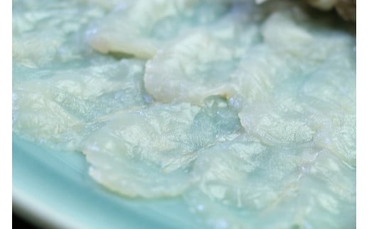 鮮度と自家製ポン酢にこだわったとらふぐ刺しふぐ鍋セット（3～4人前）［冷蔵］臼杵湯の里