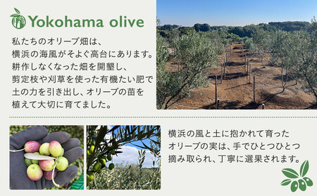 横浜オリーブ　No.7ソラレヨコハマ　エクストラバージンオリーブオイル120ml