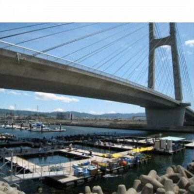 【ふるさと納税】海釣りぽーと田尻　釣り堀体験(半日コース又はサンクス一日コース)【1519412】