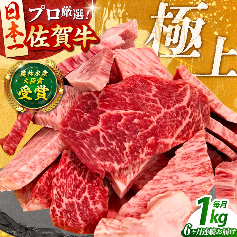【ふるさと納税】【全6回定期便】佐賀牛 焼肉用 ( カルビ ・ 赤身 ) 1kg 【田中畜産牛肉店】 佐賀牛 牛肉 精肉 肉 切り落とし[HBH152]