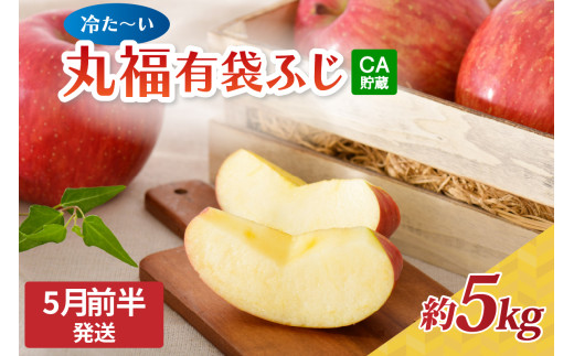 【2026年5月前半発送】りんご ふじ 5kg 程度【選べる配送時期】 丸福 有袋ふじ 冷た～い青森県産CA丸福有袋フジ約5㎏ （  5月 6月  発送 ）【 青森 五所川原 有袋ふじりんご リンゴ 
