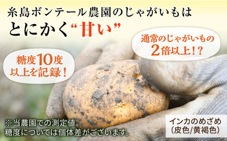 糸島育ちのジャガイモ 2種食べ比べ インカのめざめ インカのひとみ 各5kg・計10kg 【先行予約・2024年7月より順次発送】 糸島市 / 糸島ボンテール農園[ACO014]