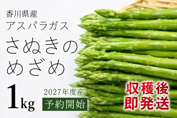 【予約受付開始！】2027年産 善通寺市産アスパラ｢さぬきのめざめ」１kg_Z2600004