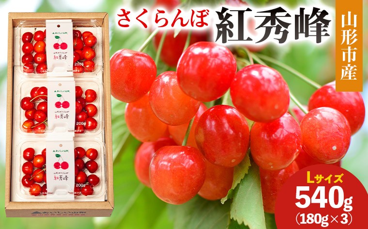 
            山形市産 さくらんぼ(紅秀峰)L 540g(180g×3) 【令和8年産先行予約】FS25-029
          