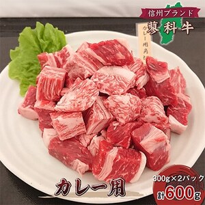 【毎月定期便】【牛肉カレー用】信州蓼科牛の厳選部位 おまかせ 600g(300g×2パック)全3回【配送不可地域：離島】【4078074】