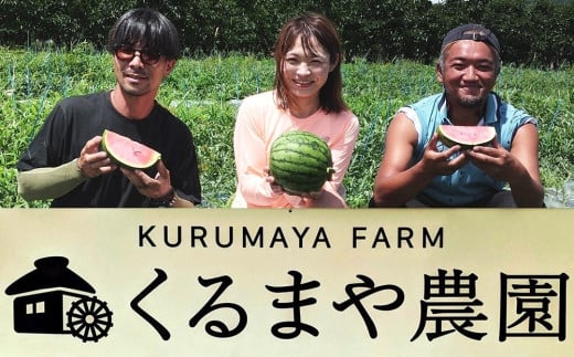 【フルーツ王国直送！】山形の小玉すいか（ピノガール）２個　0033-2504