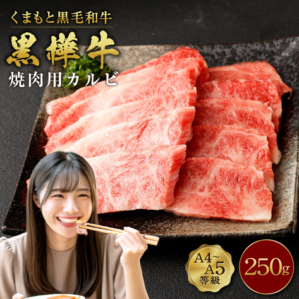 【ふるさと納税】くまもと黒毛和牛 黒樺牛 A4～A5等級 焼肉用カルビ 合計250g 牛肉 牛 霜降り 赤身 お肉 焼き肉 BBQ 黒毛和牛 国産 九州産 熊本県産 冷凍 送料無料